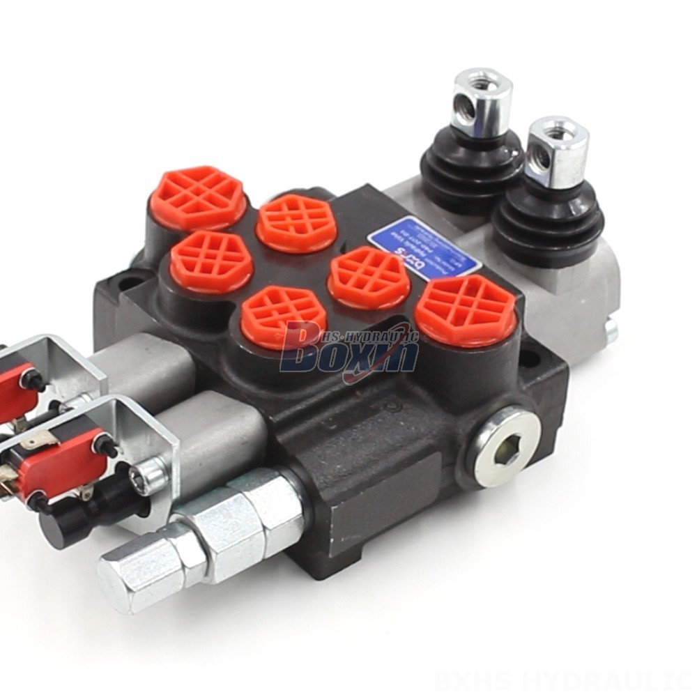 2 Spool Monoblock Directional Valve - P40: Factory Supply & Tailored Solutions main image